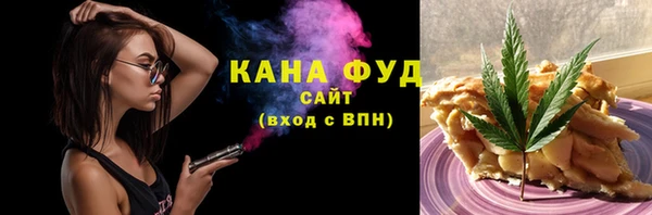 хмурый Долгопрудный
