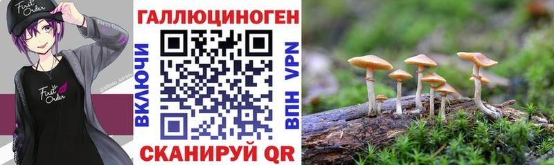сколько стоит  Ладушкин  Галлюциногенные грибы прущие грибы 