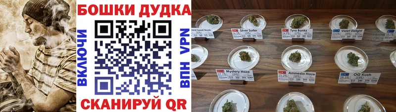 Бошки марихуана OG Kush  наркота  Ладушкин 